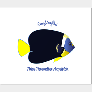 False Personifer Angelfish Posters and Art